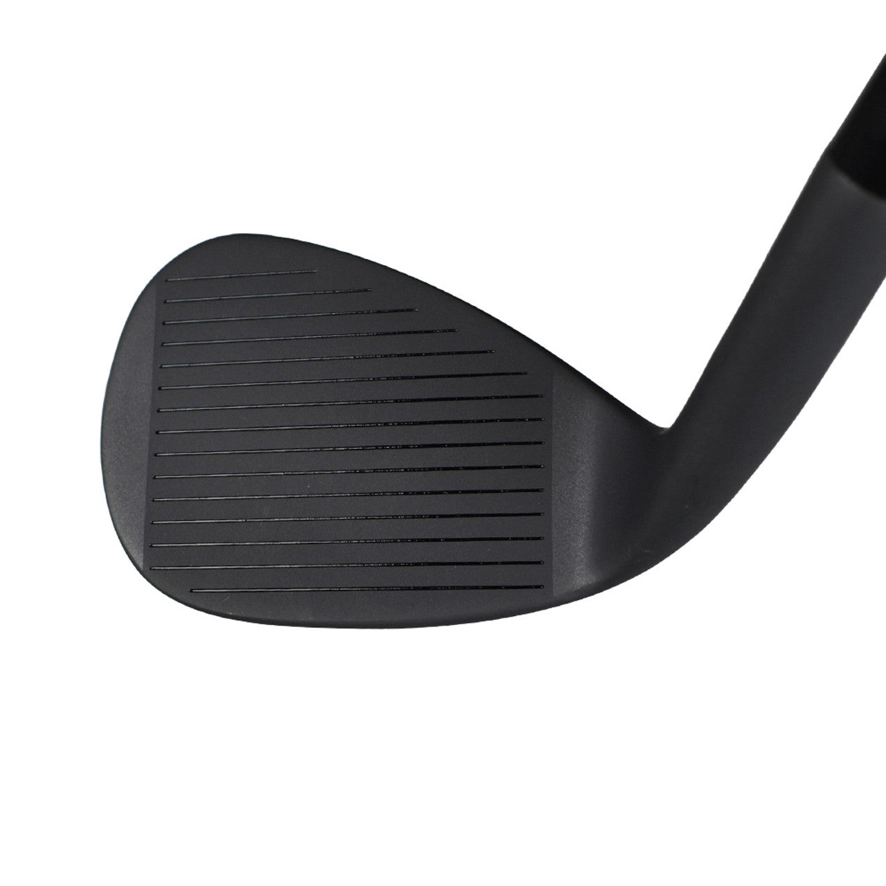 Ray Cook Blue Goose Wedges Black Finish Choose Loft